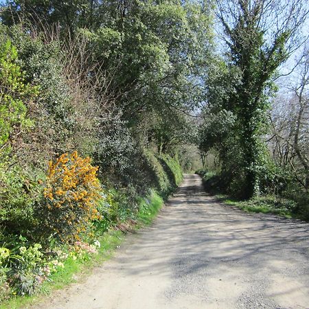 Higher Coombe Bovey Tracey Exteriér fotografie