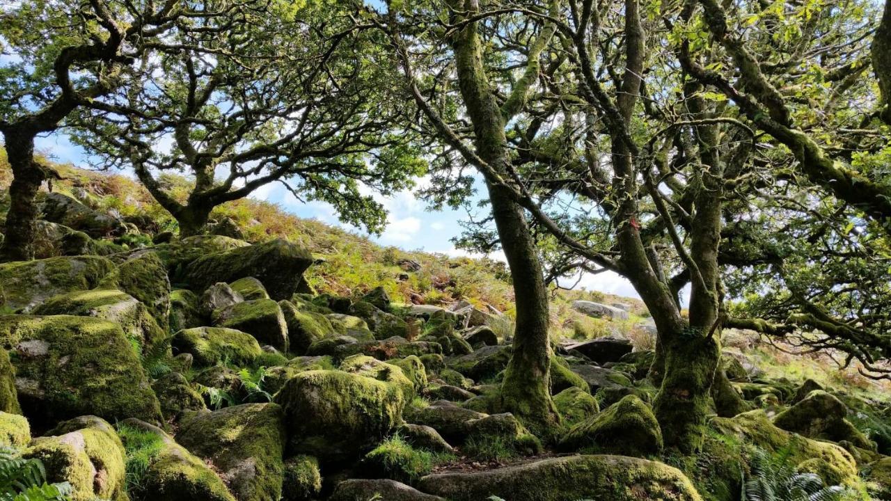 Higher Coombe Bovey Tracey Exteriér fotografie