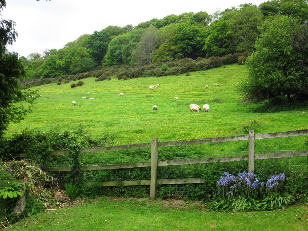 Higher Coombe Bovey Tracey Exteriér fotografie
