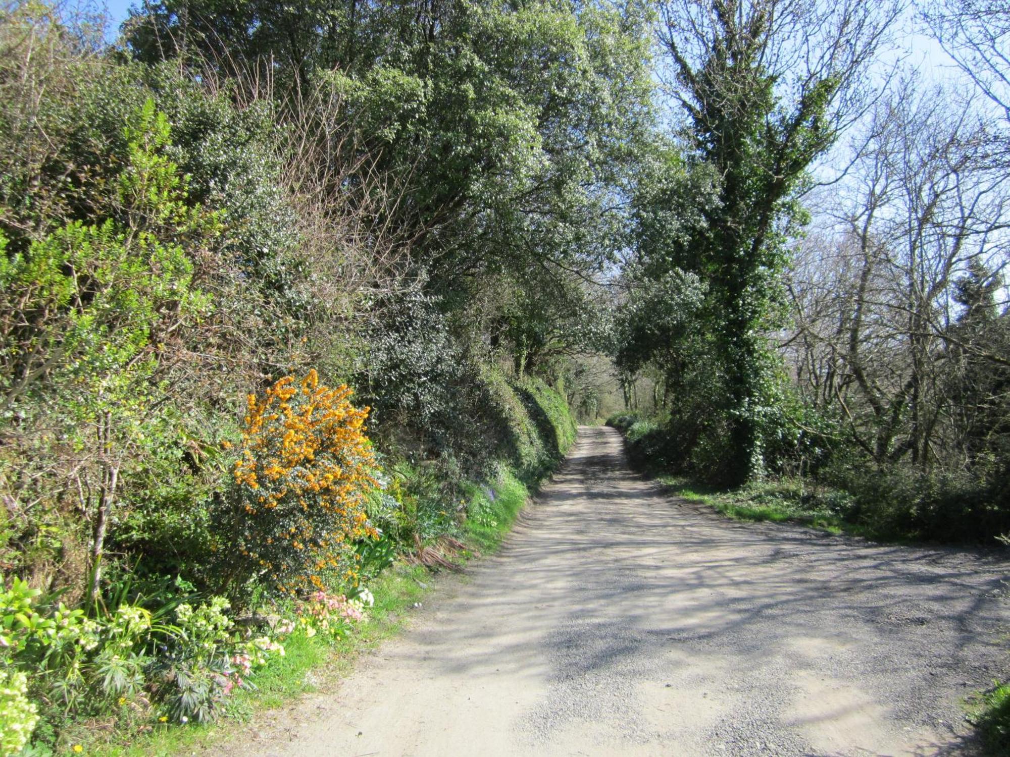 Higher Coombe Bovey Tracey Exteriér fotografie
